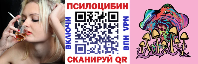 где купить наркоту  Отрадное  МЕГА зеркало  Галлюциногенные грибы Cubensis 